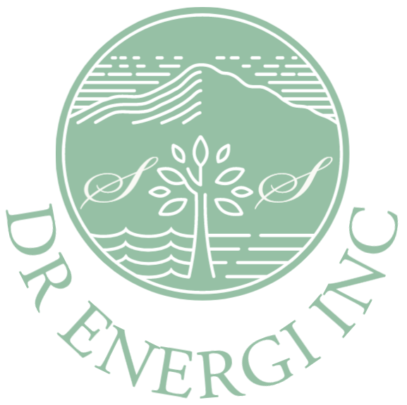 https:/www.DrEnergi.com